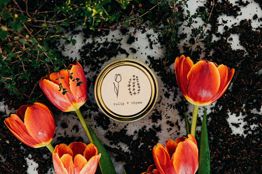 Tulip + Thyme