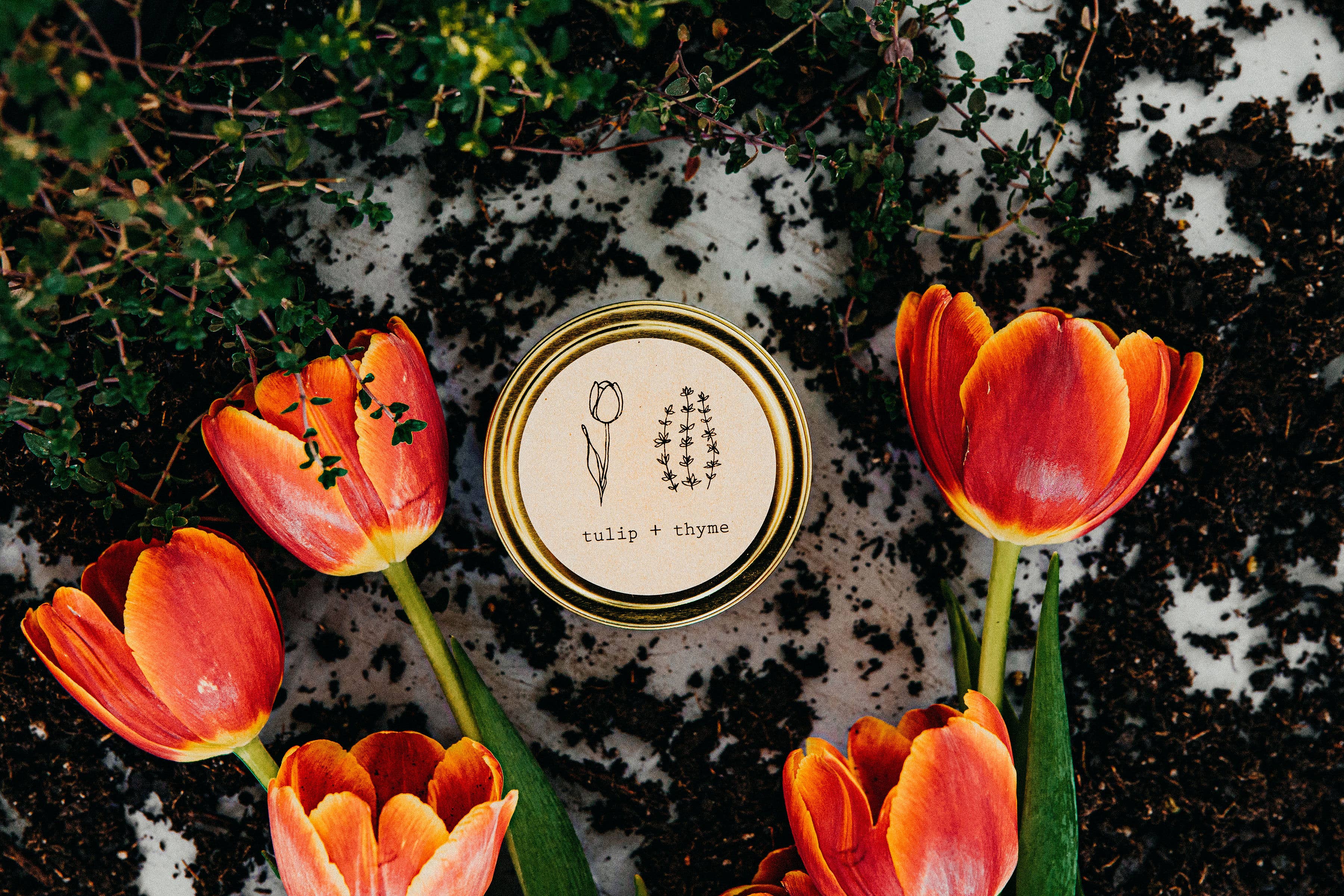 Tulip + Thyme