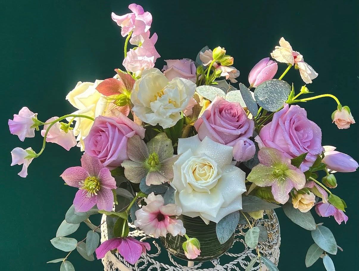 Dreamy & Delicate