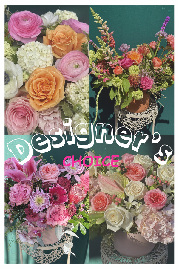 Designers Choice!